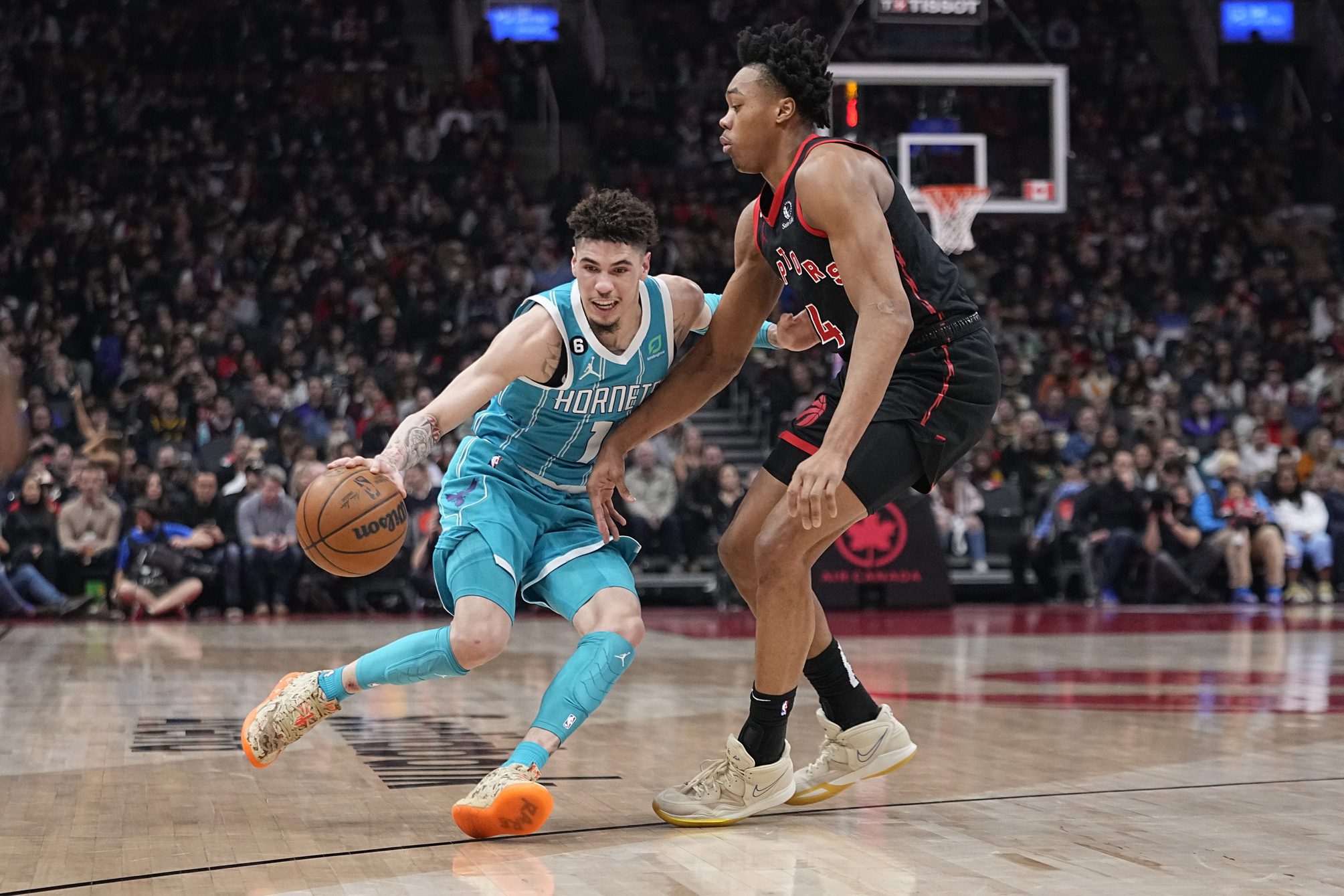 Charlotte Hornets, Toronto Raptors