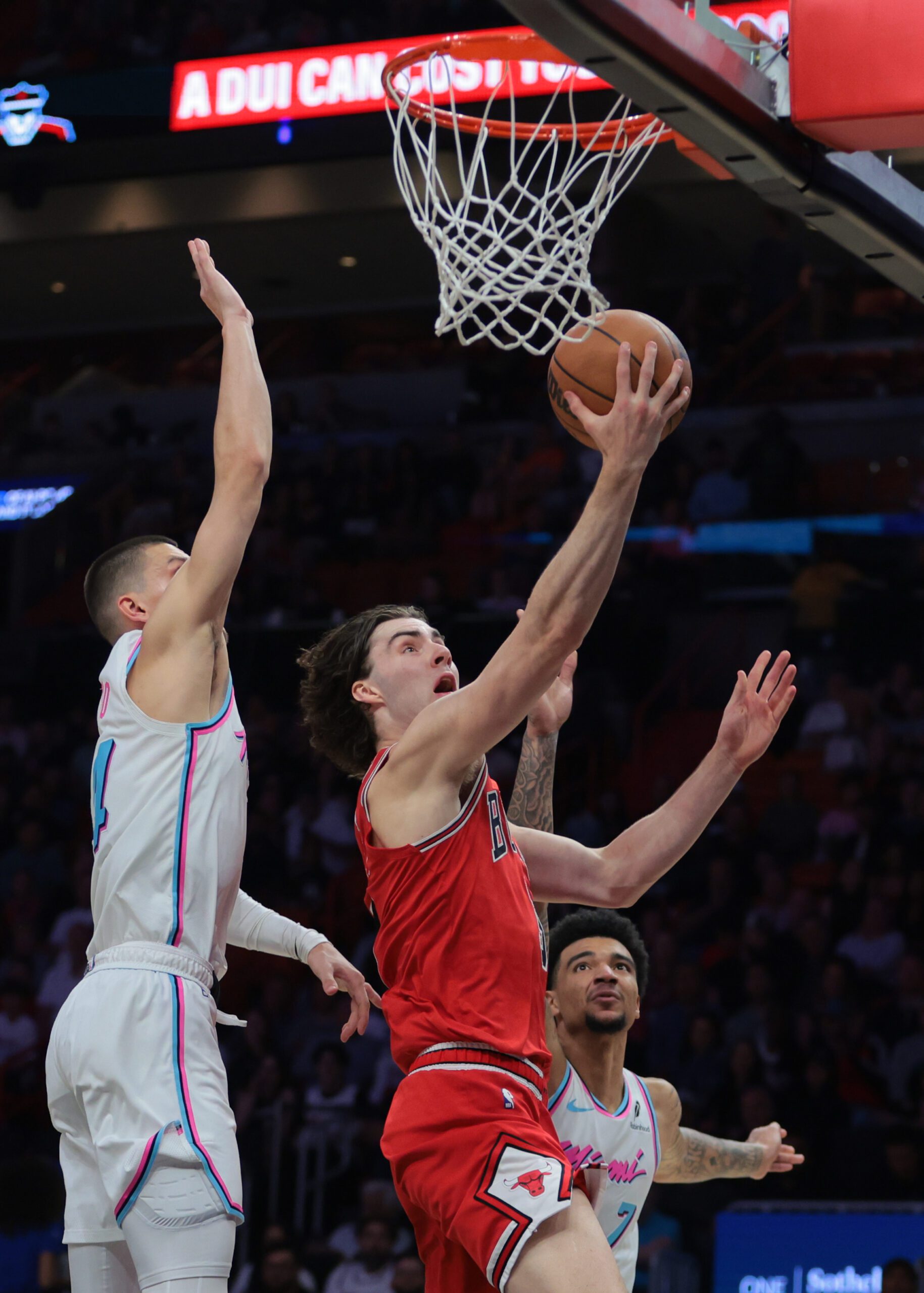 Chicago Bulls, Josh Giddey