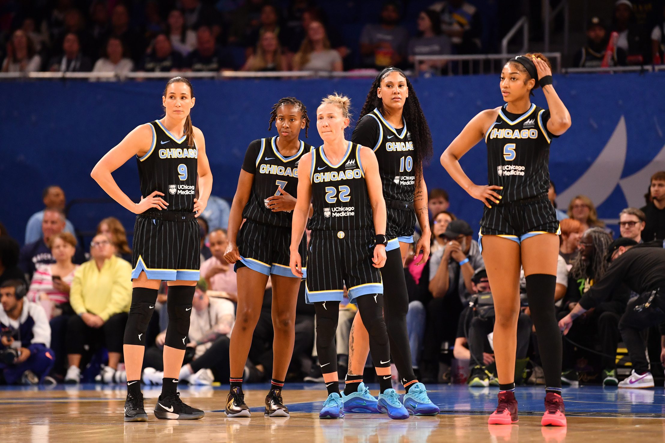 Chicago Sky, WNBA