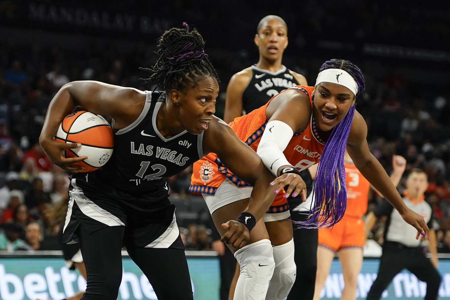 WNBA Fans