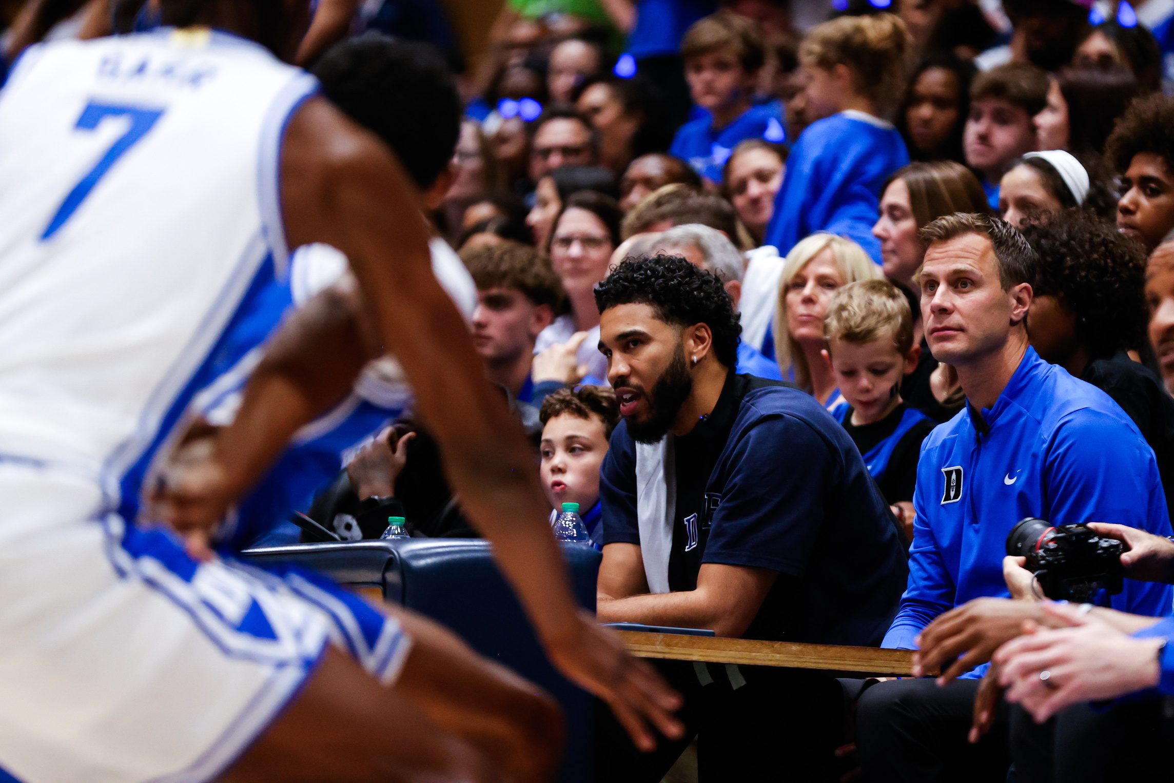 NBA Fans, Jayson Tatum
