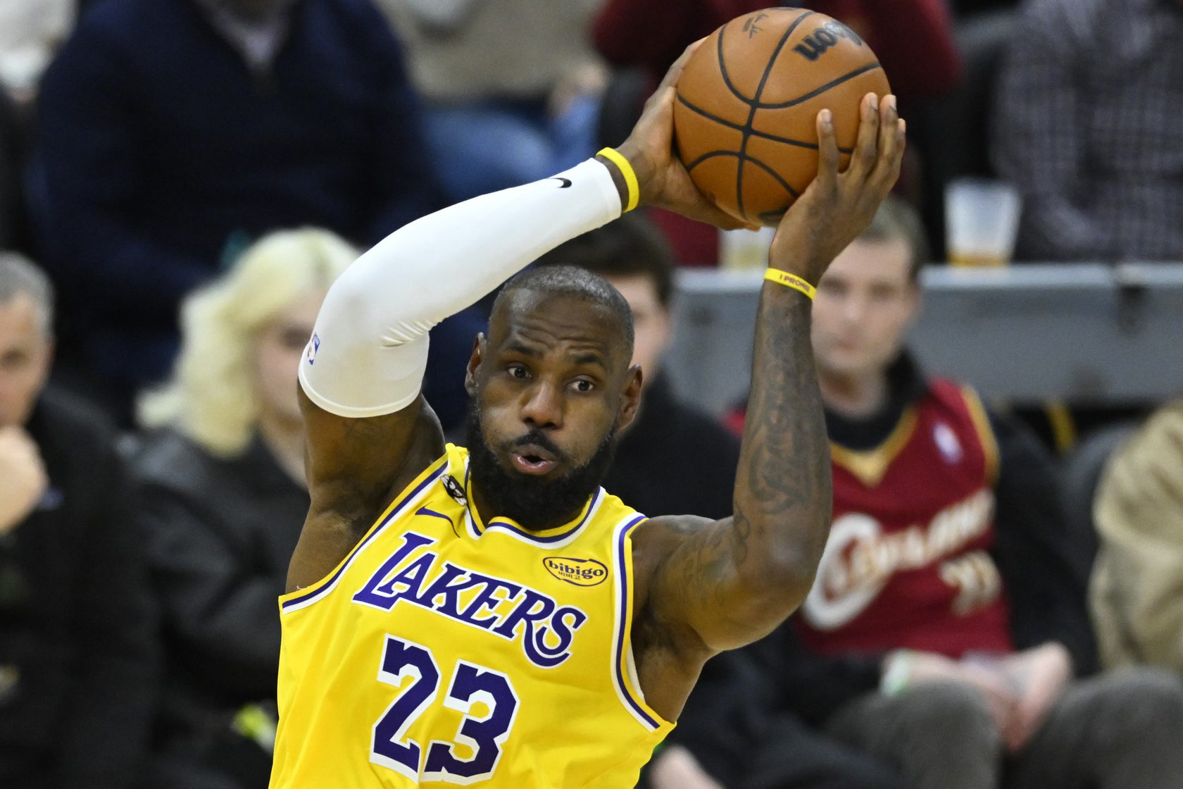 NBA Fans LeBron James